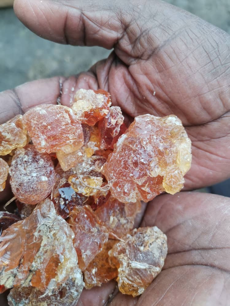Gum Arabic (Hashab) for R&D